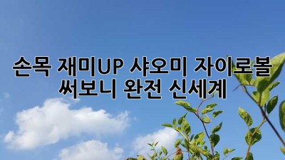 손목💪 재미UP! 샤오미 자이로볼 써보니 완전 신세계🤩