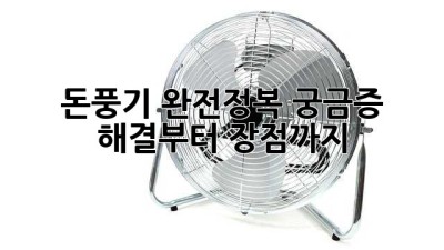 돈풍기 완전정복! 궁금증 해결부터 장점까지 💯
